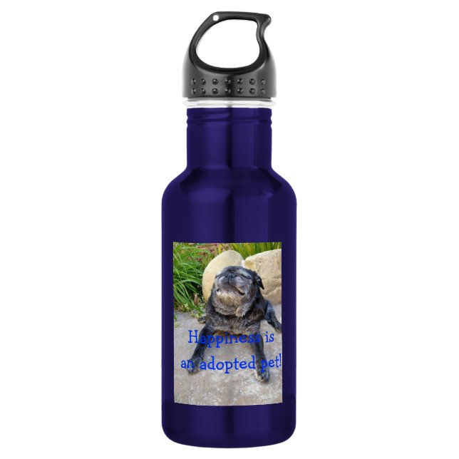 Bumble Water Bottle: Happiness is... Stainless Steel Water Bottle (Front)