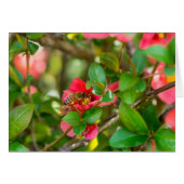 Bumblebee And Azalea (Front Horizontal)