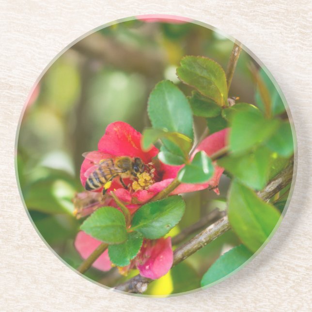 Bumblebee And Azalea Coaster (Front)