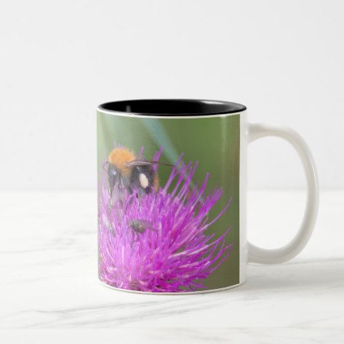 Bumblebee and flies on a thistle Finland Two_Tone Coffee Mug