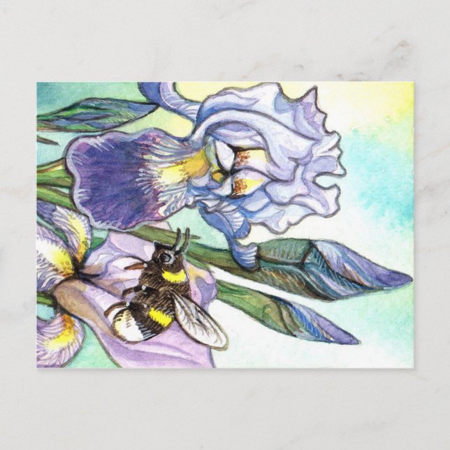 Bumblebee And Irises Postcard (Front)