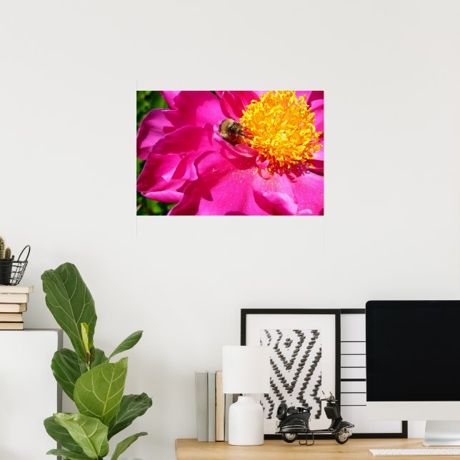 Bumblebee and Peony Poster (Home Office)
