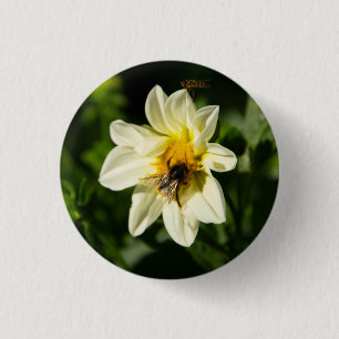 Bumblebee and white dahlia photo button