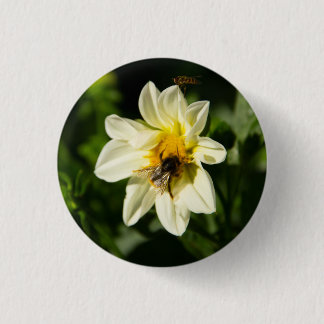 Bumblebee and white dahlia photo button