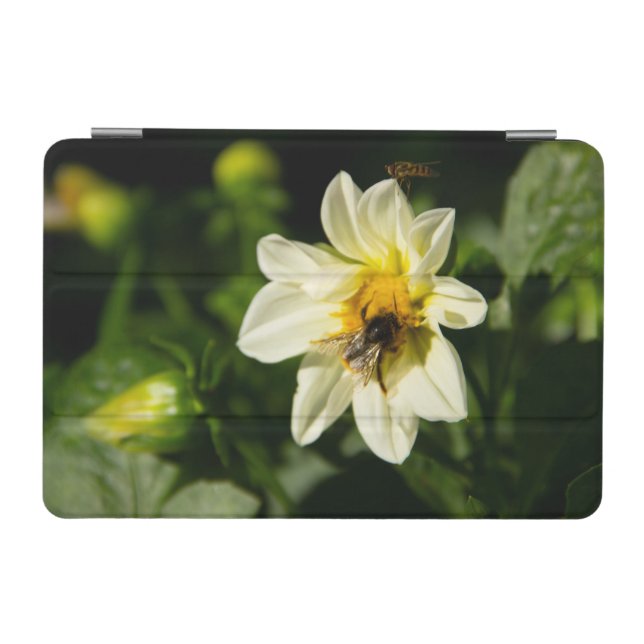 Bumblebee and white dahlia photo iPad mini cover (Horizontal)