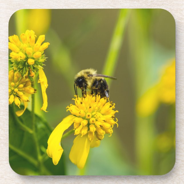 Bumblebee Beverage Coaster (Front)