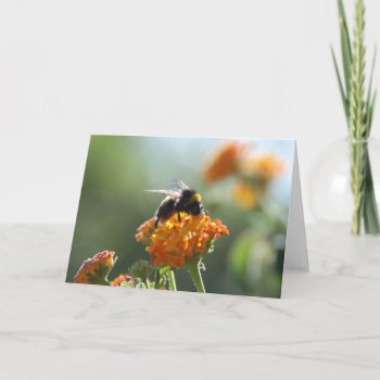 Bumblebee Blank Note Card by pulsDesign at Zazzle
