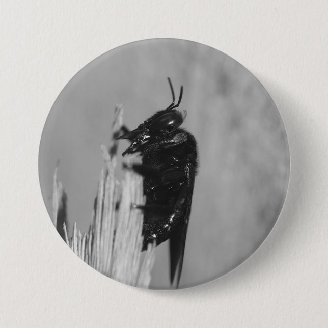Bumblebee Button (Front)
