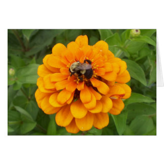 Bumblebee Cards