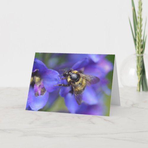 Bumblebee Close_Up Card