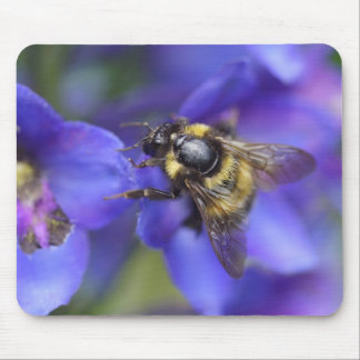 Bumblebee Close-Up Mouse Pad