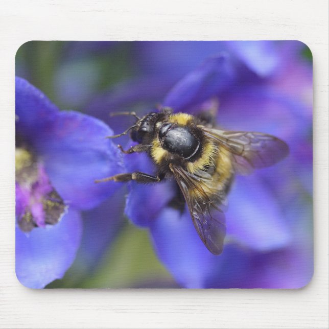 Bumblebee Close-Up Mouse Pad (Front)