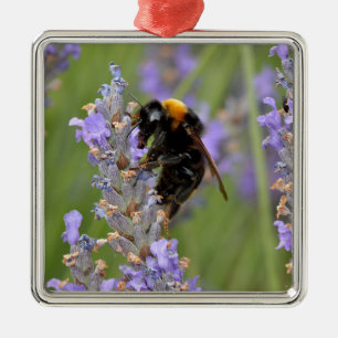Bumblebee feeding on lavender flowers metal ornament