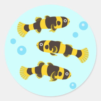Bumblebee Goby Fish Classic Round Sticker