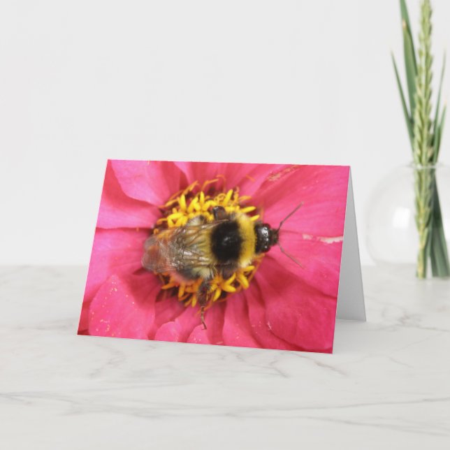 Bumblebee Greeting Card (Front)