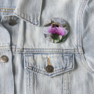 Bumblebee Harvesting a Purple Thristle Flower Button