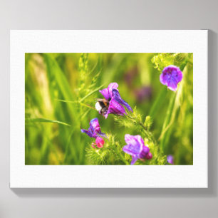 Bumblebee in Bloom Canvas Photo Tile