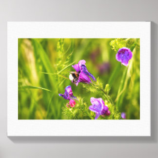 Bumblebee in Bloom Canvas Photo Tile