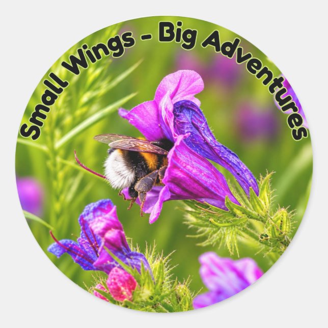 Bumblebee in Bloom - Nature and Insect Photography Classic Round Sticker (Front)
