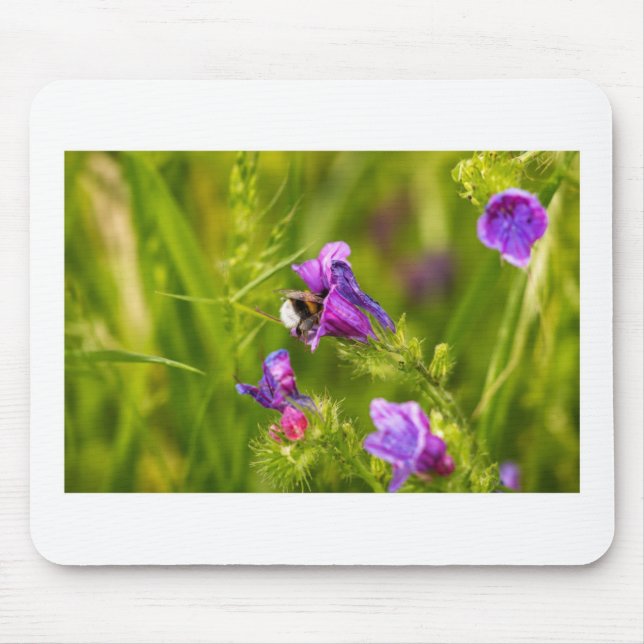 Bumblebee in Bloom - Nature and Insect Photography Mouse Pad (Front)