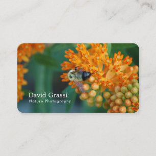 Bumblebee (Nature) Photographer Business Card