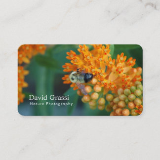 Bumblebee  (Nature) Photographer Business Card