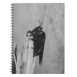 Bumblebee Notebook