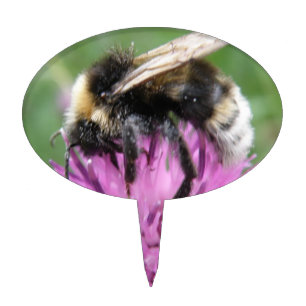 Bumblebee on a Thistle Cake Pick