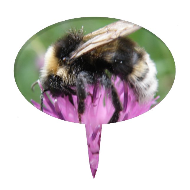 Bumblebee on a Thistle Cake Pick (Front)
