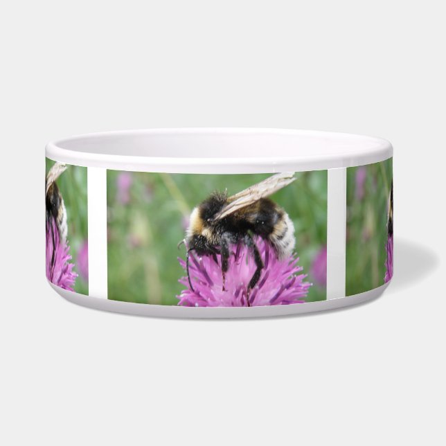 Bumblebee on a Thistle Dog Bowl (Front)