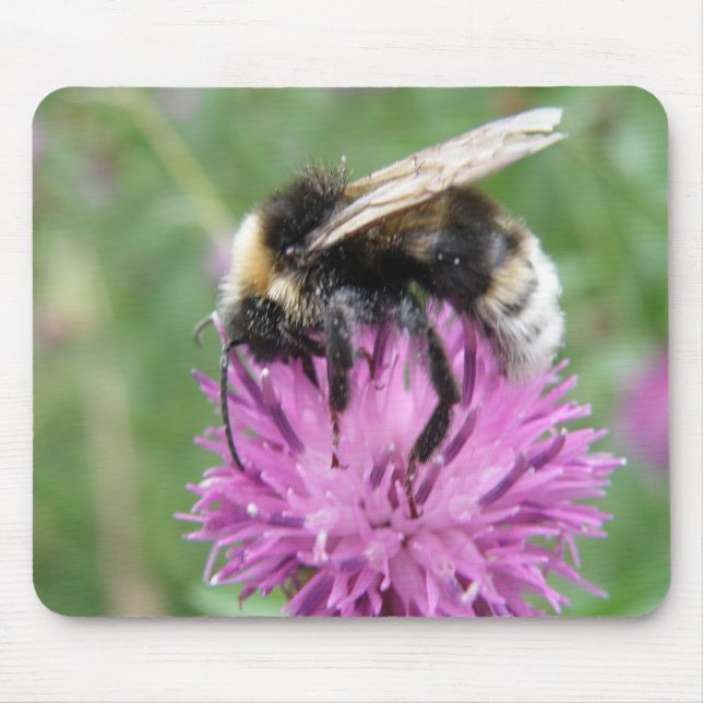 Bumblebee on a Thistle Mousepad (Front)