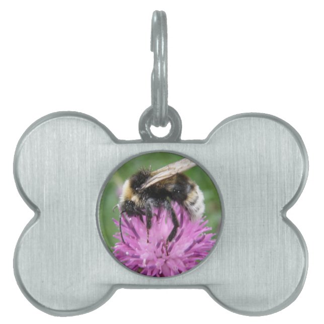 Bumblebee on a Thistle Pet Tag (Front)