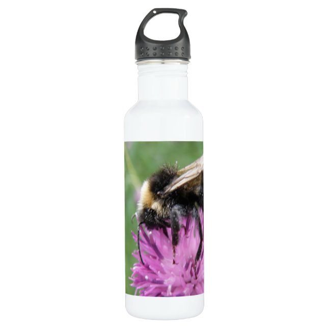 Bumblebee on a Thistle Water Bottle (Front)