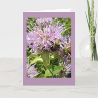 Bumblebee on Beebalm Blank Note Card