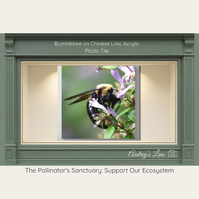 Bumblebee on Chinese Lilac Acrylic Photo Tile (Creator Uploaded)