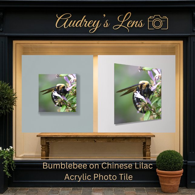 Bumblebee on Chinese Lilac Acrylic Photo Tile (Creator Uploaded)