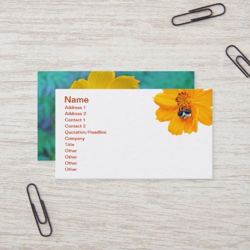 Bumblebee on Cosmos Business Card Template