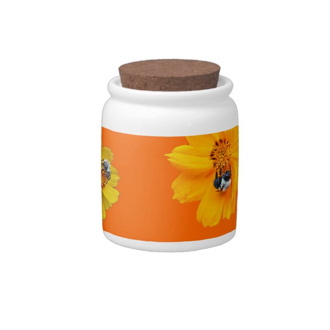 Bumblebee on Cosmos Candy Jar (Right)