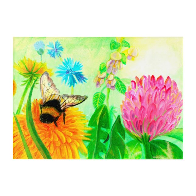 Bumblebee on dandelion  acrylic print (Front)