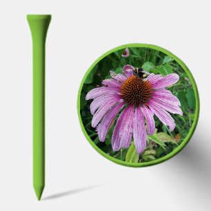 Bumblebee on Eastern purple Coneflower Golf Tees