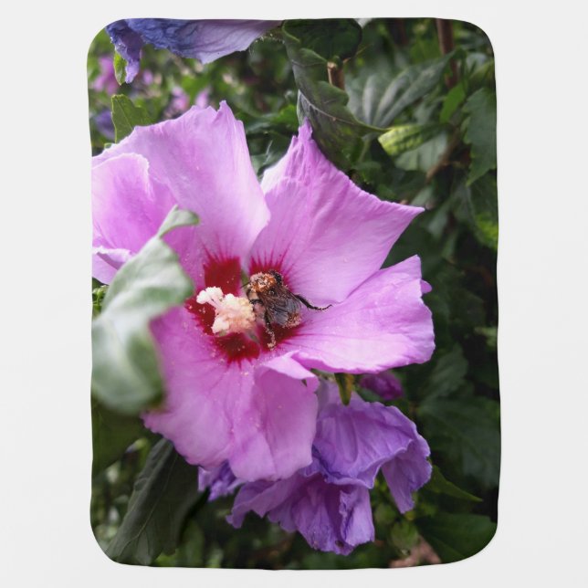 Bumblebee on Hibiscus Flower Baby Blanket (Front)