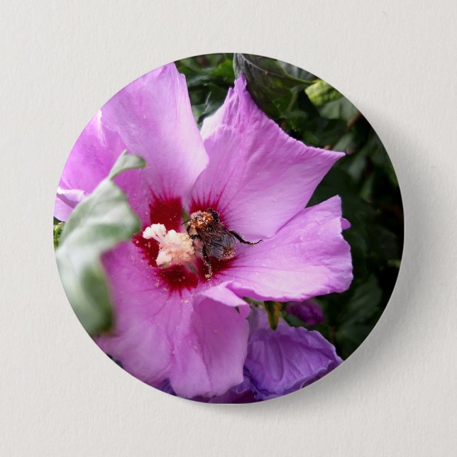Bumblebee on Hibiscus Flower Button (Front)