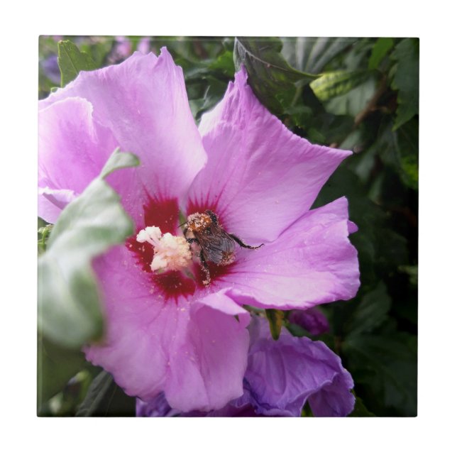 Bumblebee on Hibiscus Flower Ceramic Tile (Front)