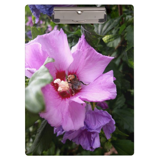 Bumblebee on Hibiscus Flower Clipboard (Front)
