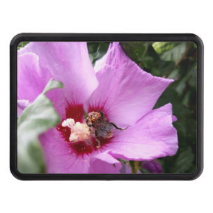 Bumblebee on Hibiscus Flower Hitch Cover