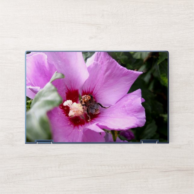 Bumblebee on Hibiscus Flower HP Laptop Skin (Front)