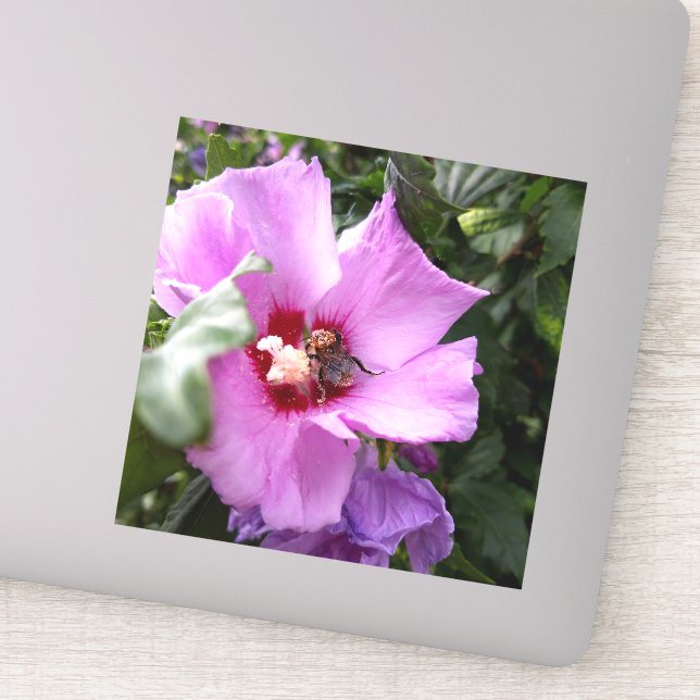 Bumblebee on Hibiscus Flower Sticker (Detail)