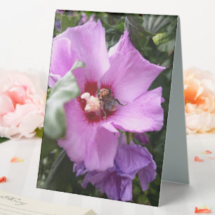 Bumblebee on Hibiscus Flower Table Tent