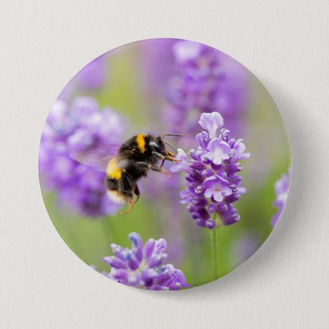Bumblebee On Lavender  Button (Front)