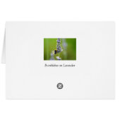 Bumblebee on Lavender Cards (Back Horizontal)